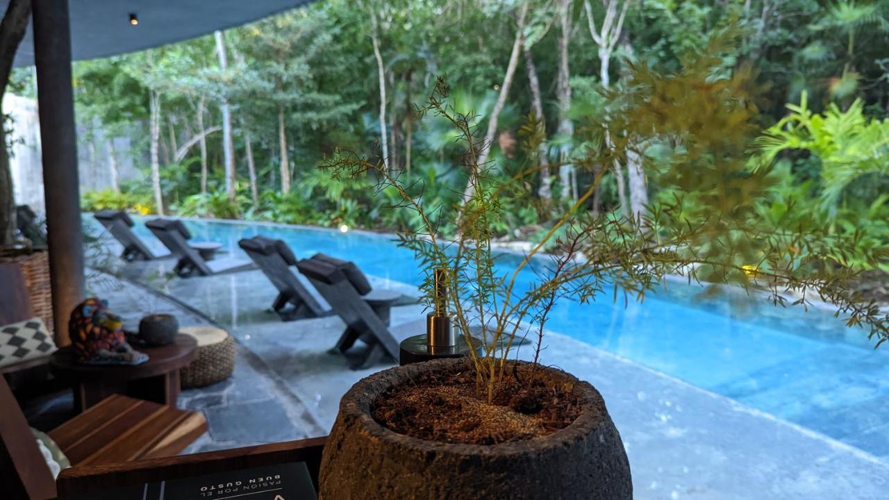 Exclusive Penthouse By Famous Interior Designer By Yeah Apartment Tulum Luaran gambar