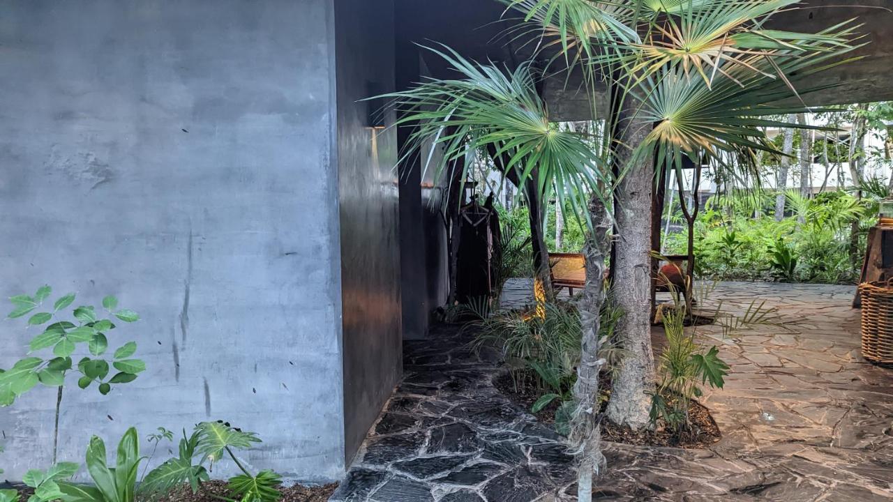 Exclusive Penthouse By Famous Interior Designer By Yeah Apartment Tulum Luaran gambar