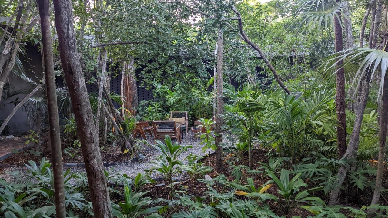 Exclusive Penthouse By Famous Interior Designer By Yeah Apartment Tulum Luaran gambar