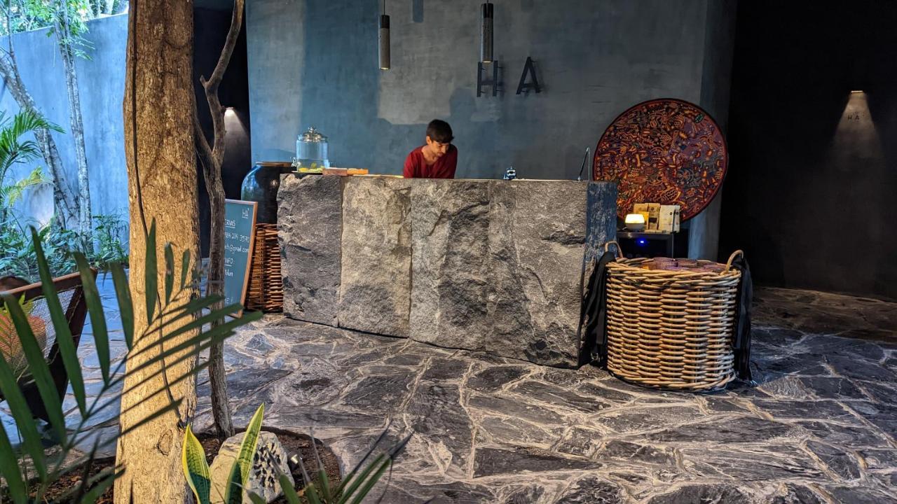 Exclusive Penthouse By Famous Interior Designer By Yeah Apartment Tulum Luaran gambar